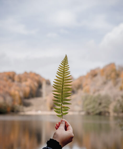 (c) Hausamberg-waldviertel.at